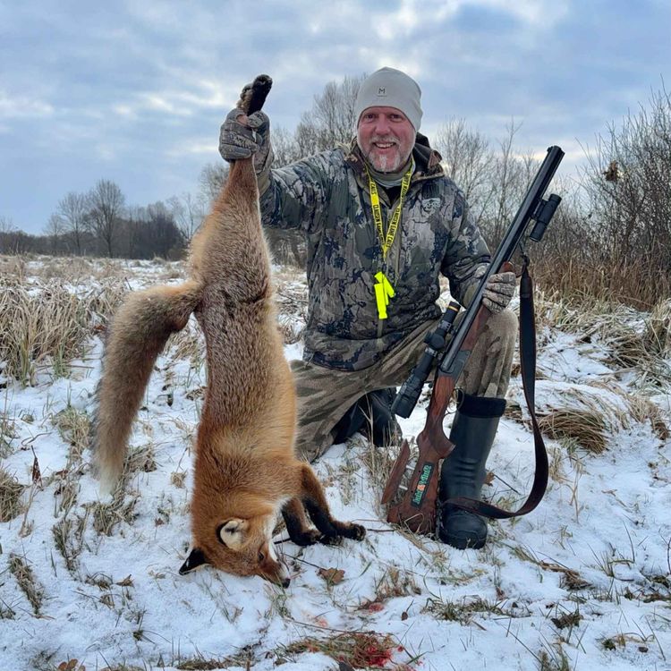 cover art for Fra ulv til elefant og det meste i mellom med Kristoffer Clausen