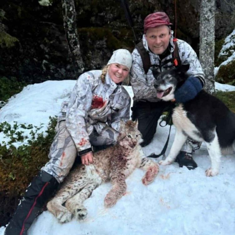 cover art for Jakt på elg og rovvilt med Geir Snefjellå