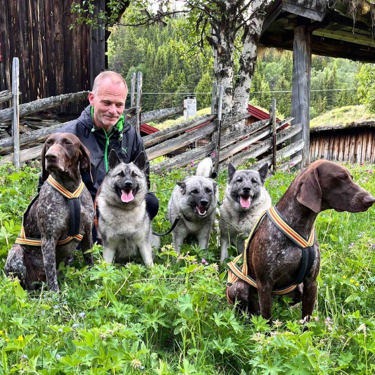 cover art for Løshund, bandhund og jaktprøveregler med Bjørn Grue