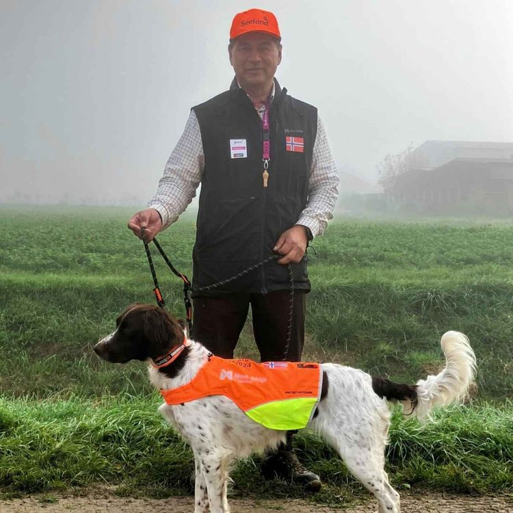 cover art for Münsterländer, VM, fuglejakt og innjaging med Pål Berge