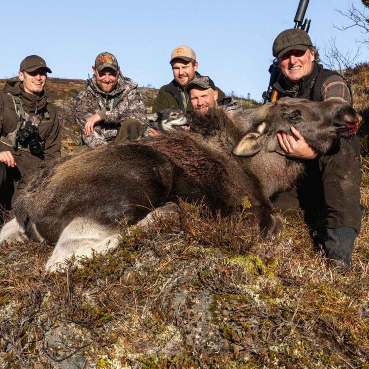 cover art for Hunting in the UK, Chinese Water Moose, Deer management and Falconry with Owen and Dan from Cervus-UK