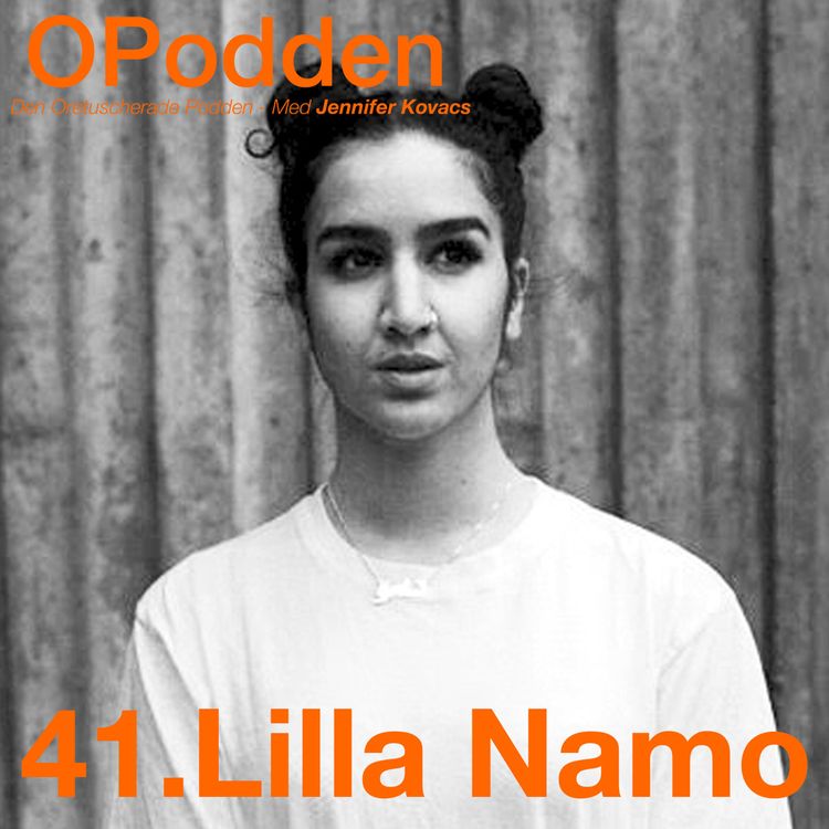 cover art for 41.Lilla Namo