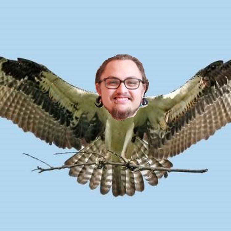 cover art for #60 Höken