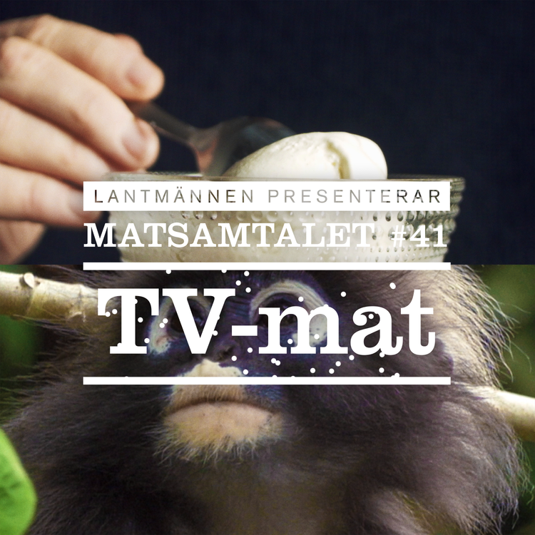 cover art for Avsnitt 41 - TV-mat