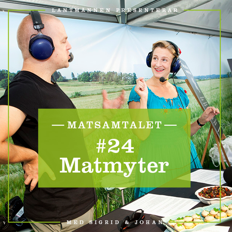 cover art for Avsnitt 24 - Matmyter