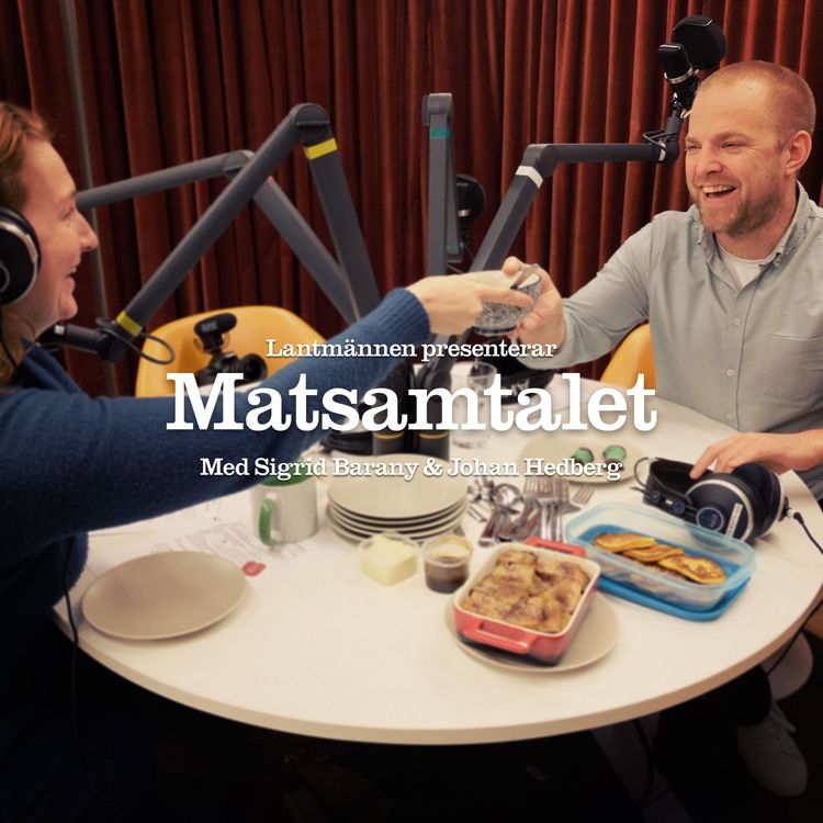 cover art for Avsnitt 17 - Fester med rester