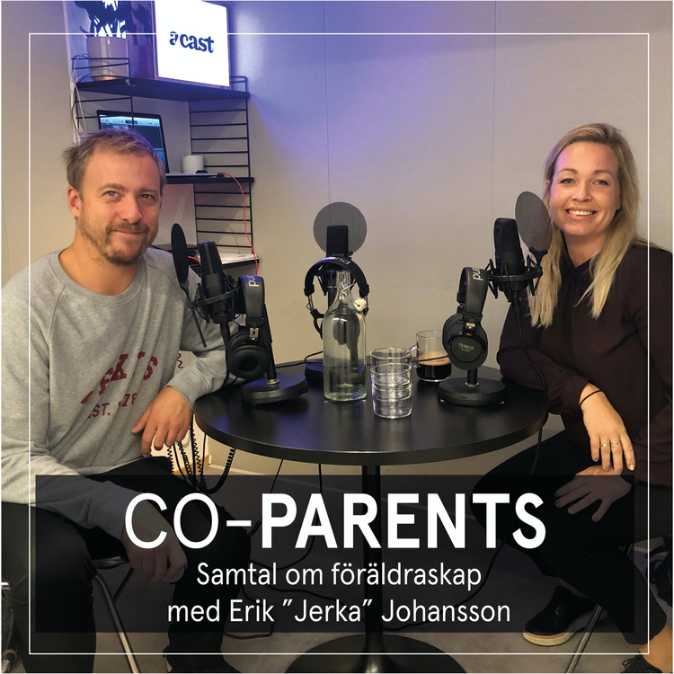 cover art for 02-Jerka Johansson - Om att lära sina barn lite jävla hyfs