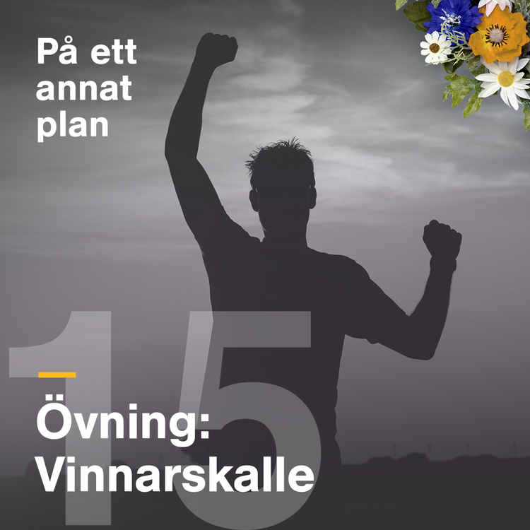 cover art for Vinnarskalle