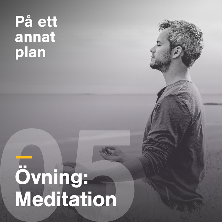 cover art for Övning: Meditation