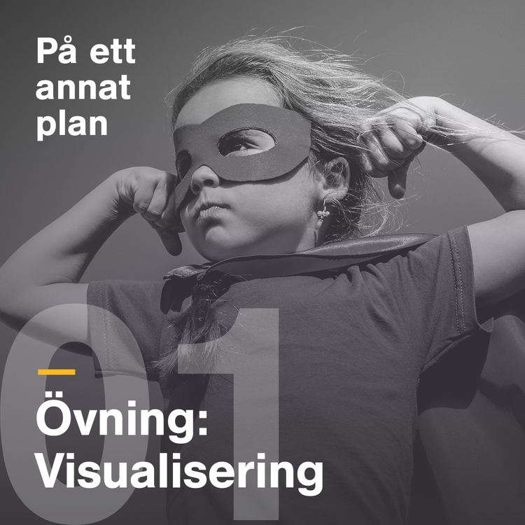 cover art for Övning: Visualisering