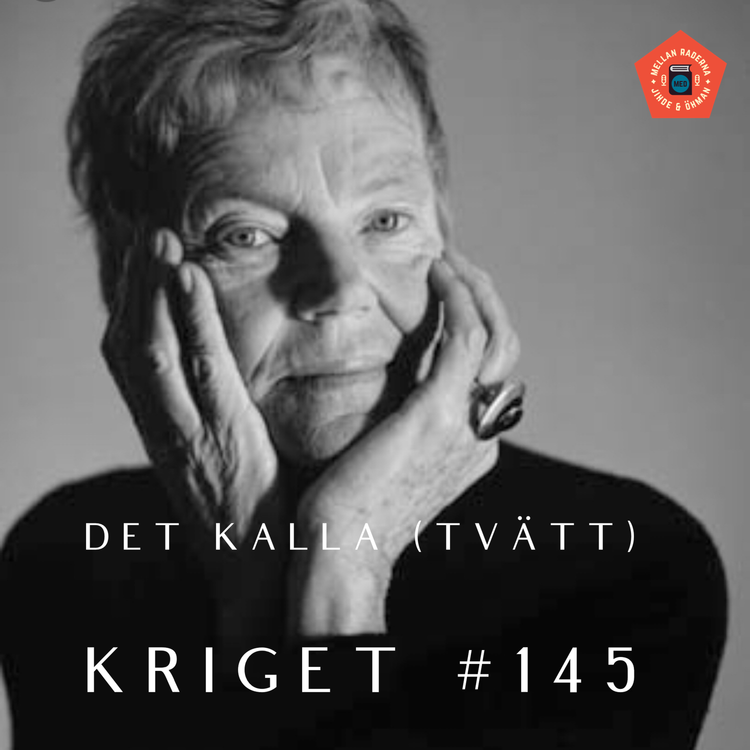 cover art for Det kalla (tvätt)kriget #145