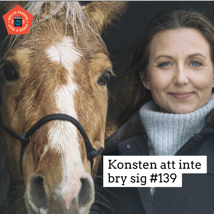 cover art for Konsten att inte bry sig #139