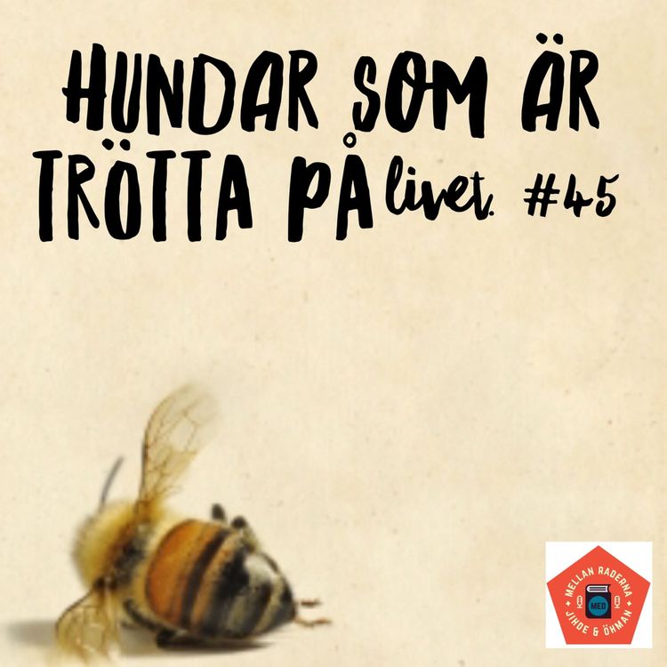 cover art for Hundar som är trötta på livet #45