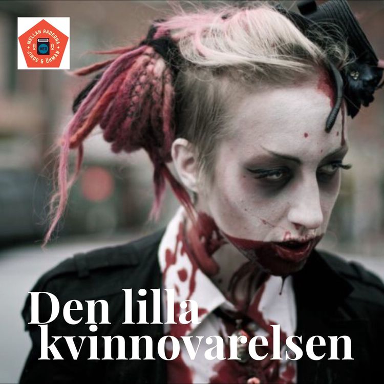 cover art for Den lilla kvinnovarelsen #33