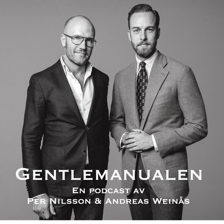 cover art for 173. Den stilmässiga regeringskrisen - Gentlemanualens misstroendeförklaring