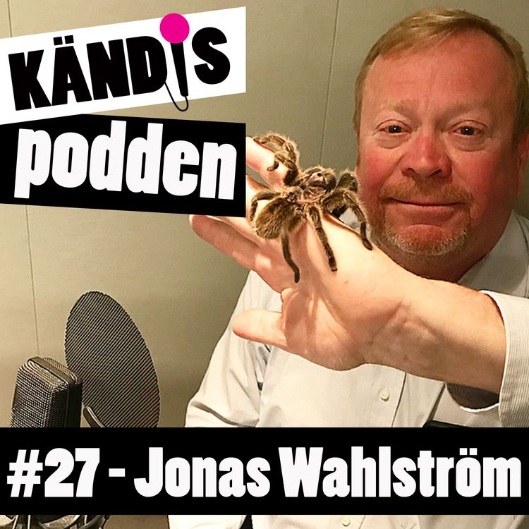 cover art for 27. Jonas Wahlström