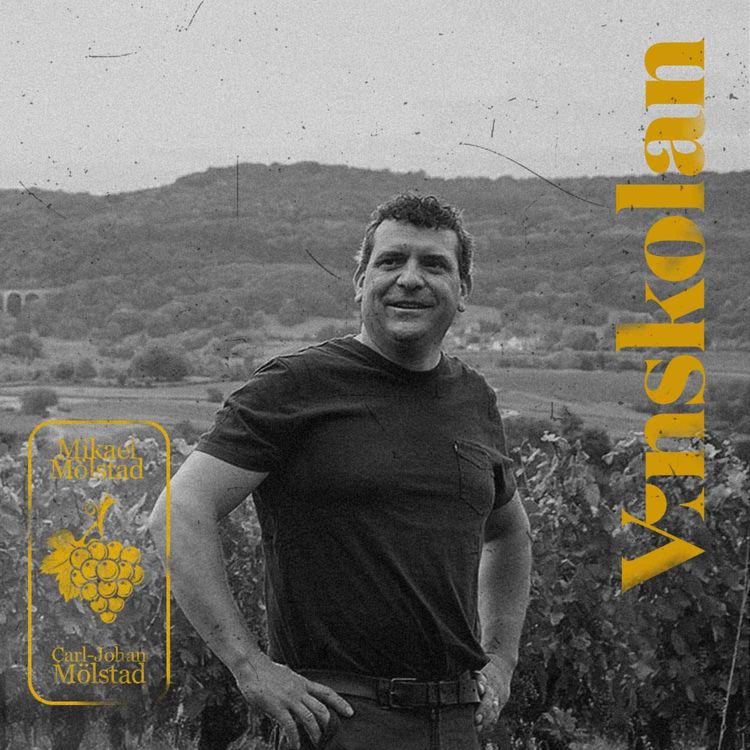 cover art for Specialavsnitt 8: Vårviner!