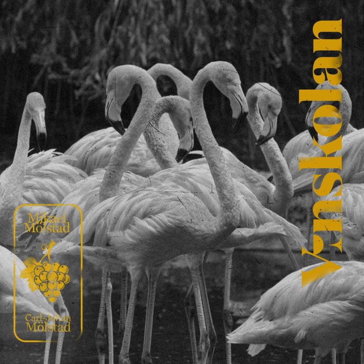 cover art for Specialavsnitt 9: Rosa