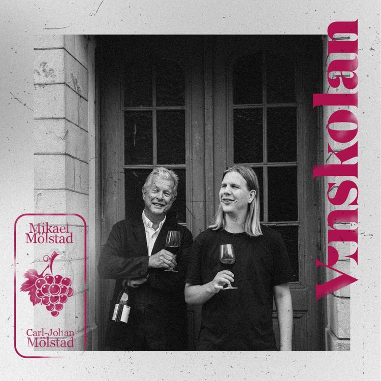 cover art for Cabernet Sauvignon (med familj)