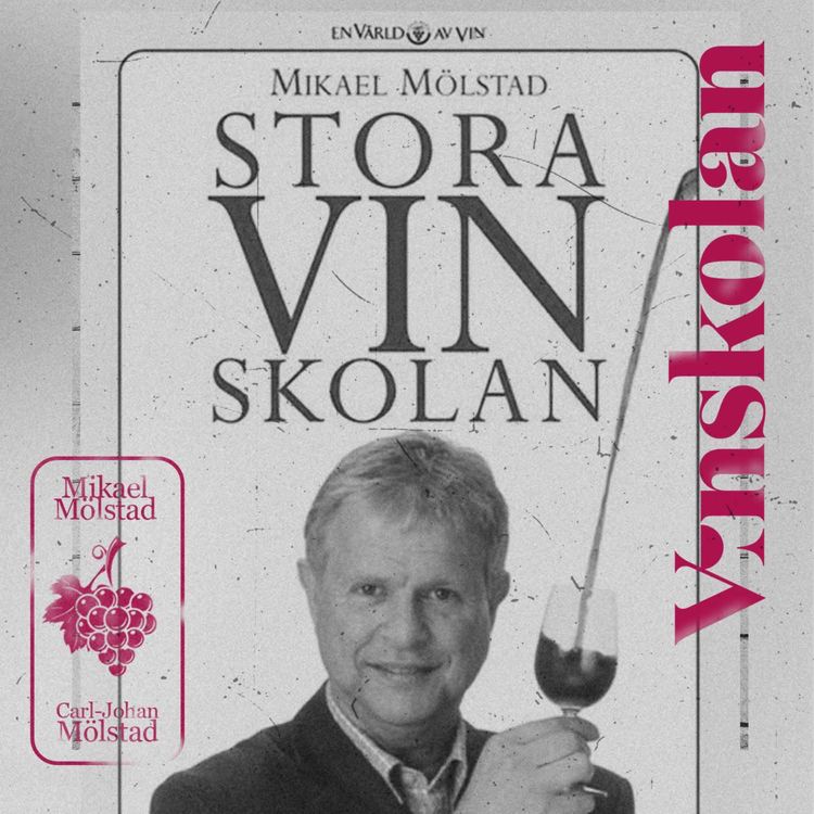 cover art for Vinskolan 30 år (boken alltså)