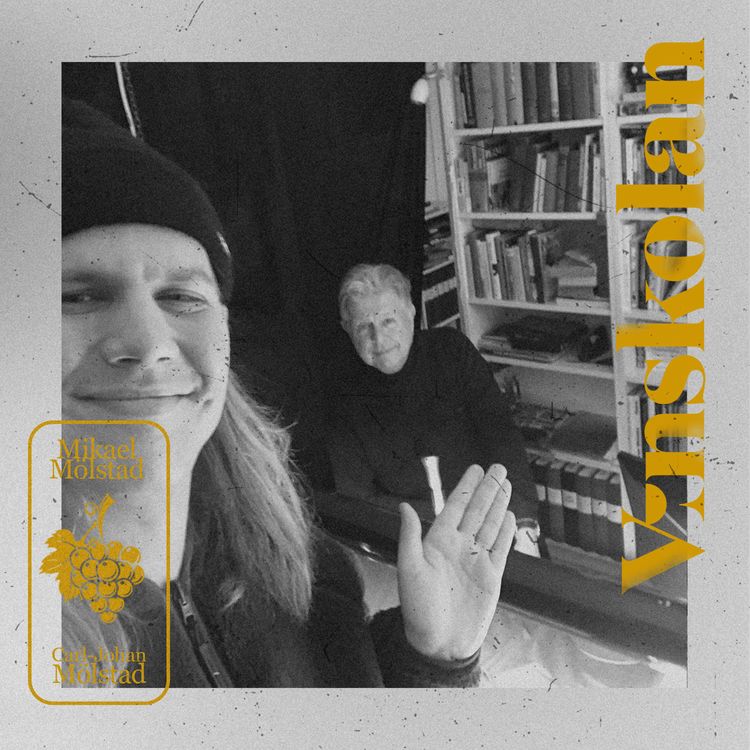 cover art for Specialavsnitt 3: Vinresor