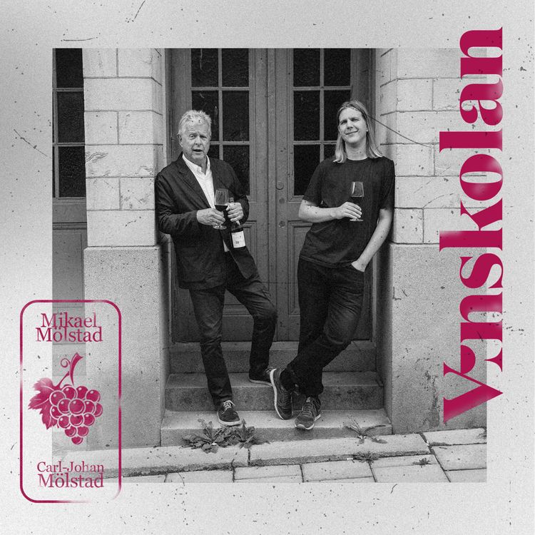 cover art for 09 – Hur ska jag lagra mitt vin?