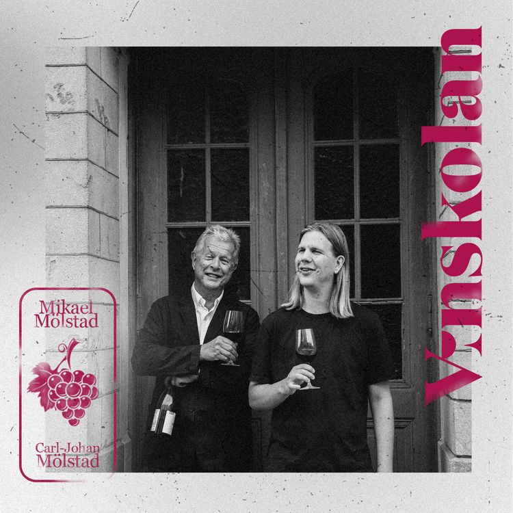 cover art for 06 – Vinkällaren / Vineriet