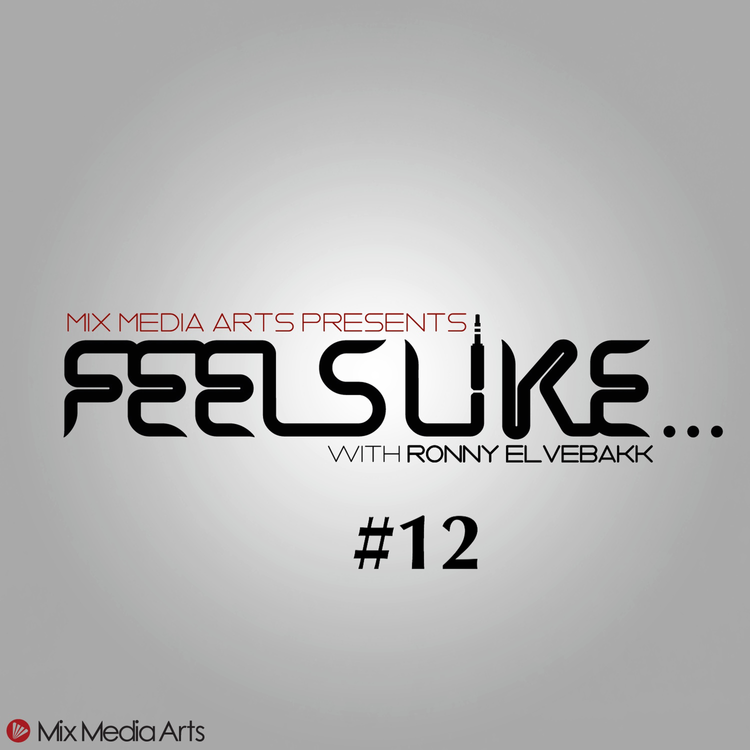 cover art for #12 Feels Like... Martin Bundsen