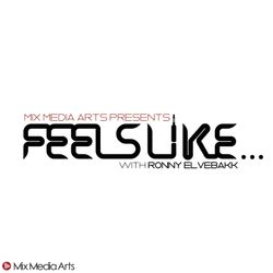 cover art for Feels Like...