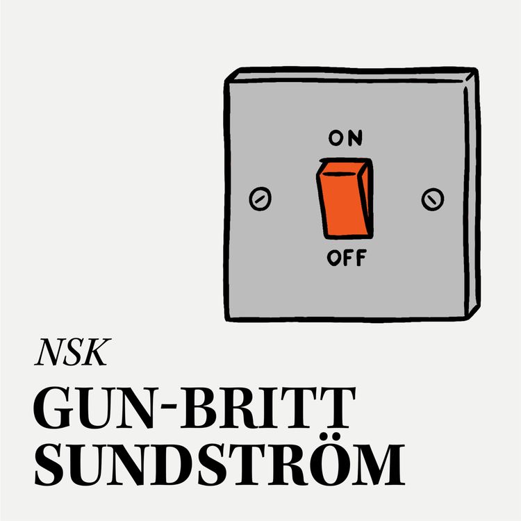 cover art for 19. Gun-Britt Sundström och den enda viktiga frågan