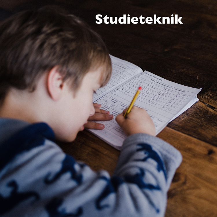 cover art for Studieteknik - hur man gör läxor! (sommarfavorit #10)