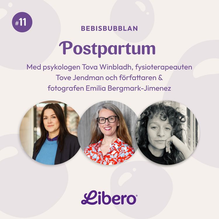 cover art for Postpartum