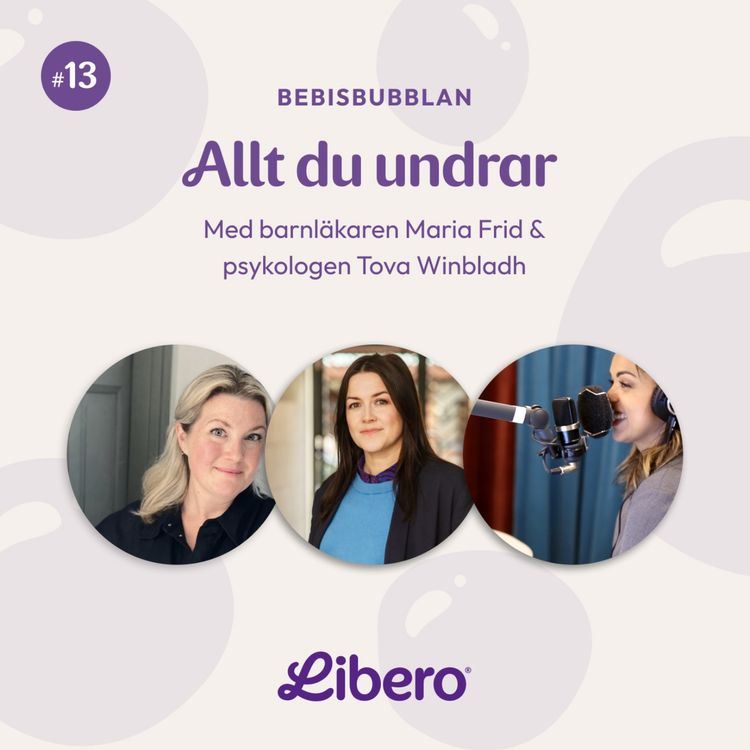 cover art for Allt du undrar