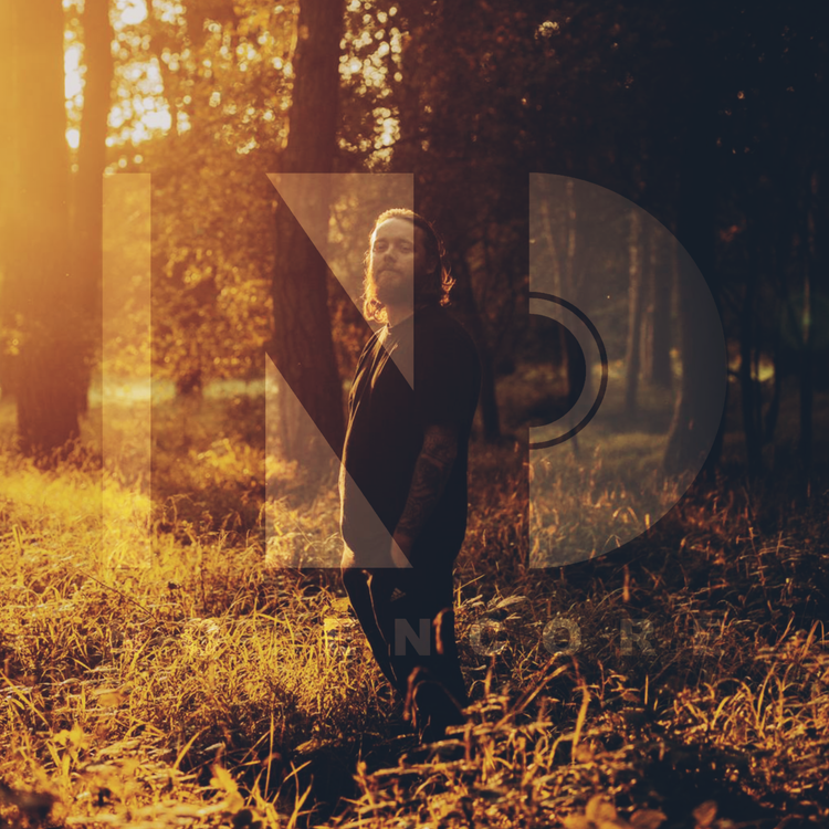 cover art for 242: NEALO | ALL THE LEAVES ARE FALLING | TRACK X TRACK