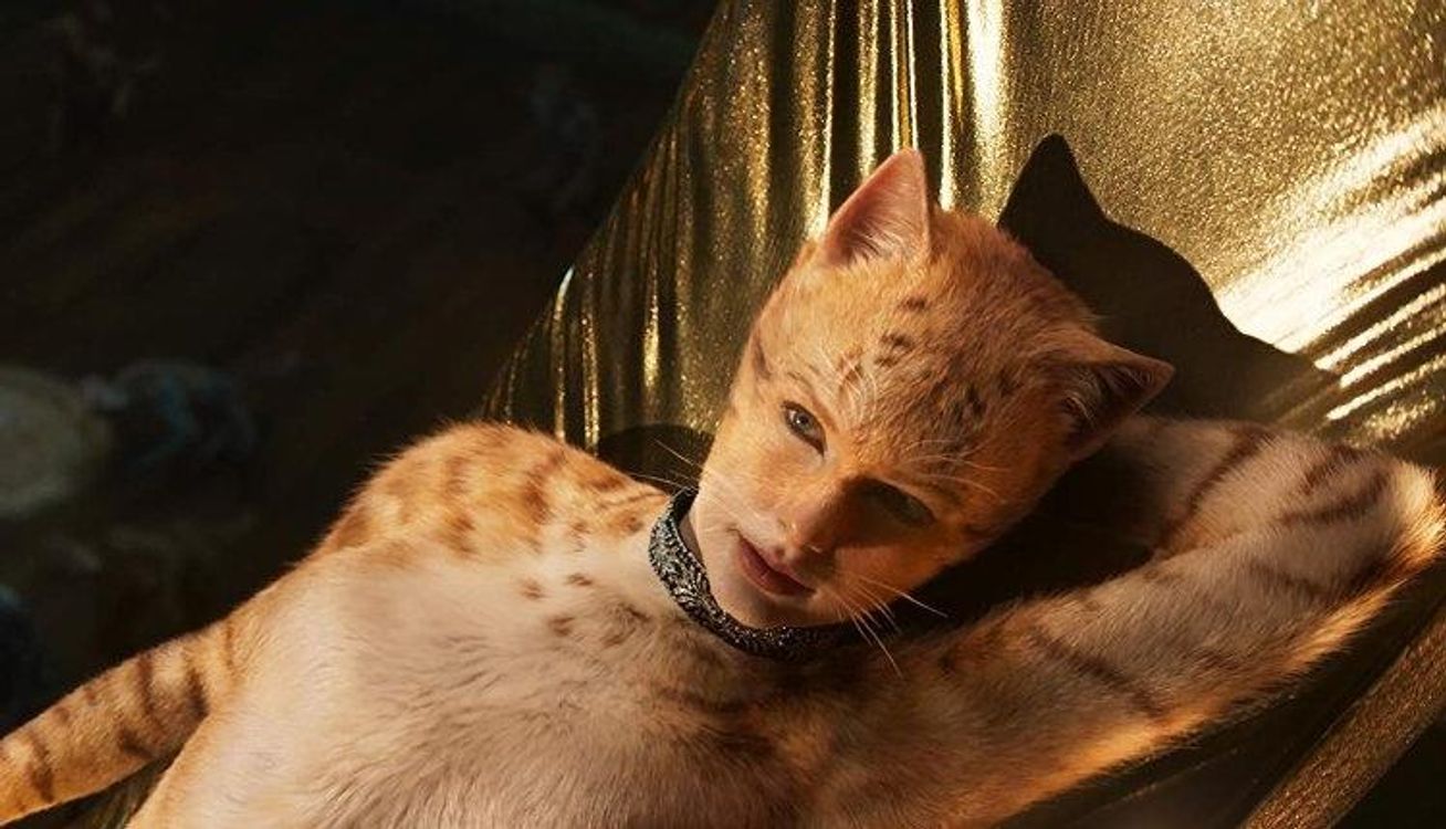 cover art for NO POPCORN #013 | CATS w/ Michael Fry and Andrea Cleary