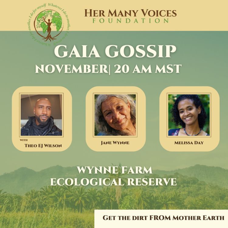 cover art for Urgency in Haiti: The Struggle for Survival and Ecological Conservation