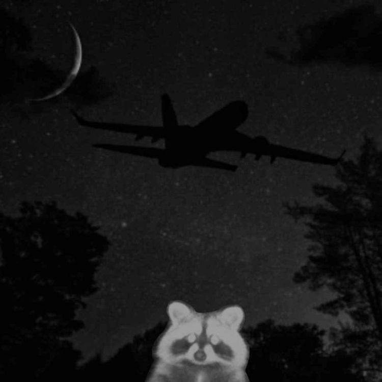 cover art for Missing (Episode 2)