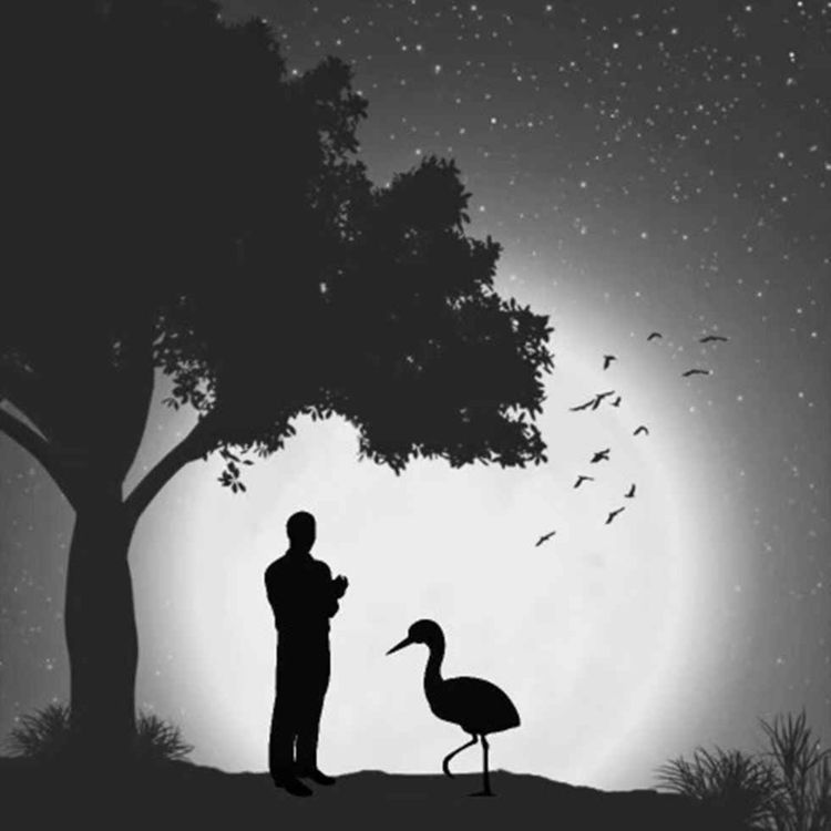 cover art for Missing (Episode 4)