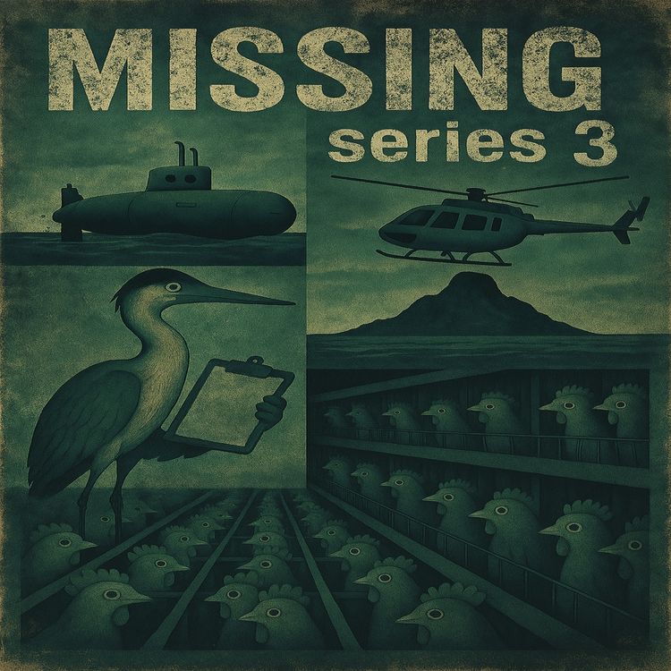 cover art for Missing 3: Episode 1 Feathered friends