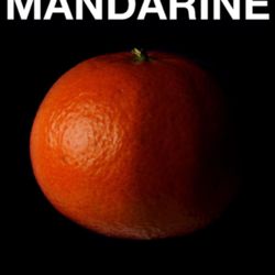 cover art for MANDARINE, la photo par Initial Labo 