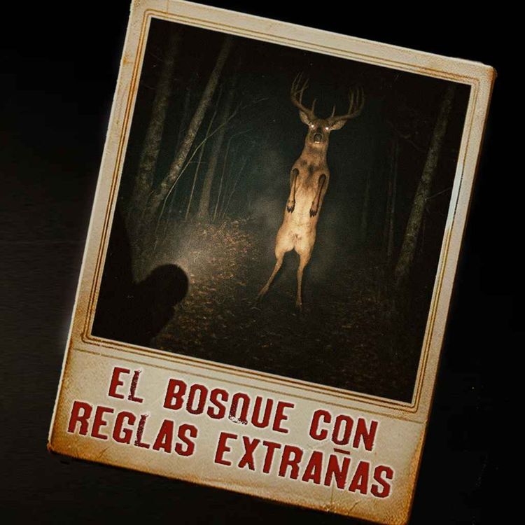 cover art for Montes Apalaches: Tan MALDITO que tiene REGLAS | Podcast Ep. 46