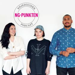 cover art for NG-punkten