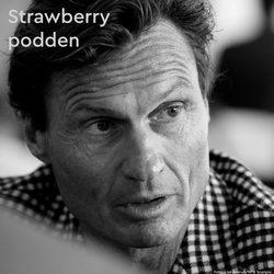 cover art for Petter Stordalen - Strawberrypodden