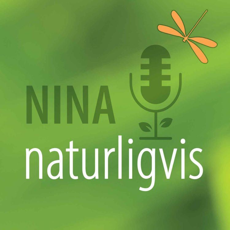 cover art for Hva er Naturtoppmøtet?