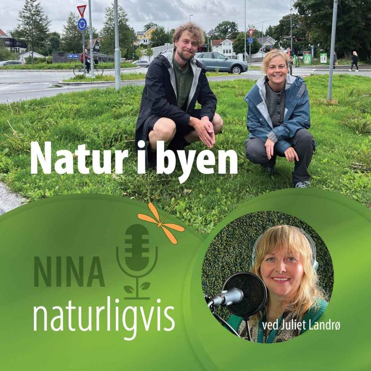 cover art for Natur i byen