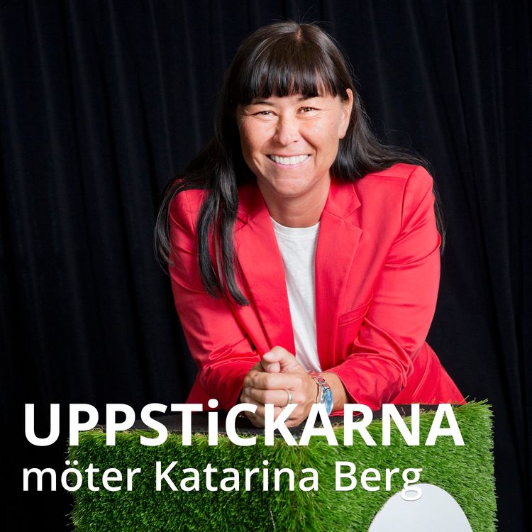 cover art for Uppstickarna möter Katarina Berg