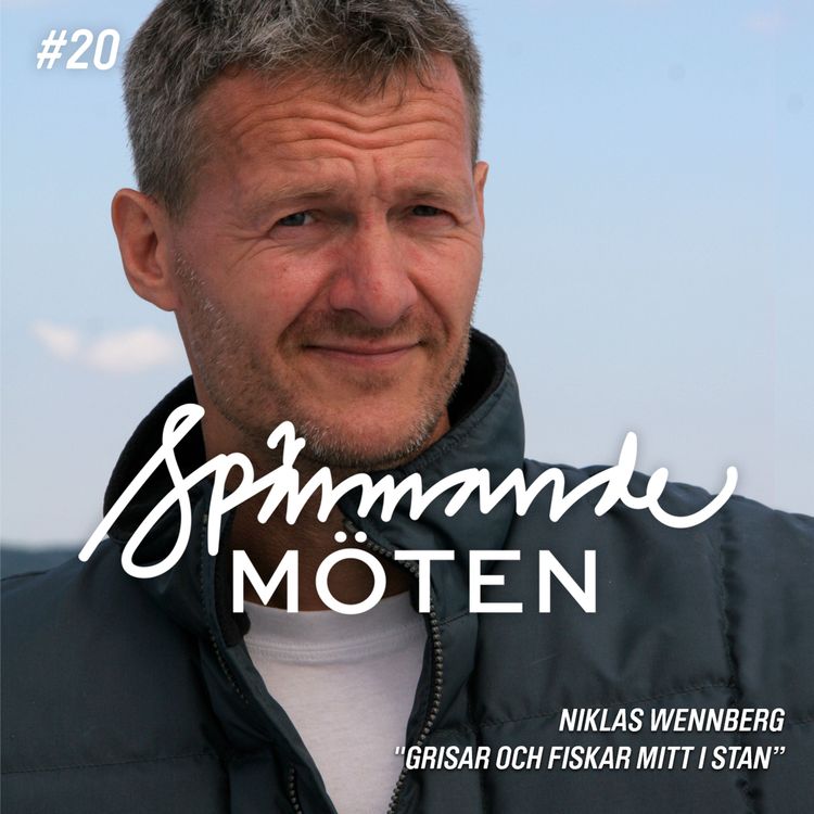 cover art for #20 Niklas Wennberg, "Grisar och fiskar mitt i stan"
