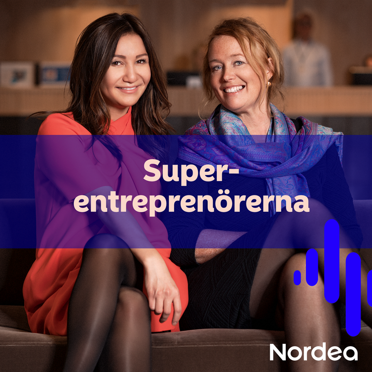 cover art for Susanne Birgersdotter, serieentreprenören