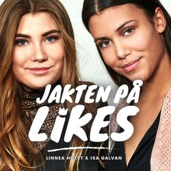 cover art for Jakten på Likes