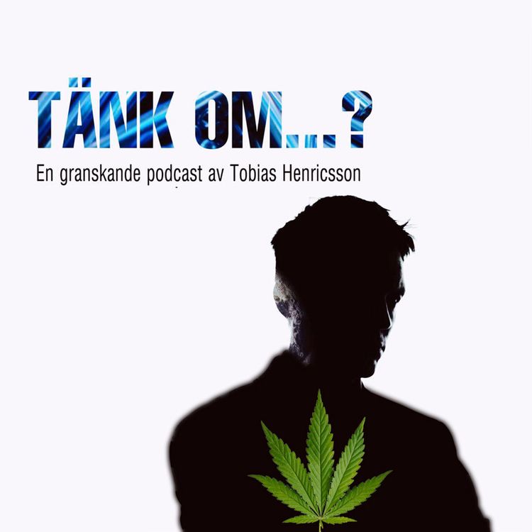 cover art for 8. Hur farliga är de "lätta" drogerna?